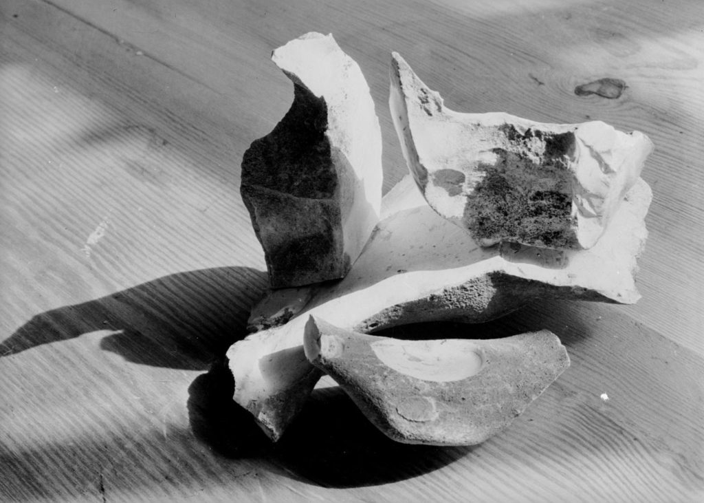 conversations artists talks